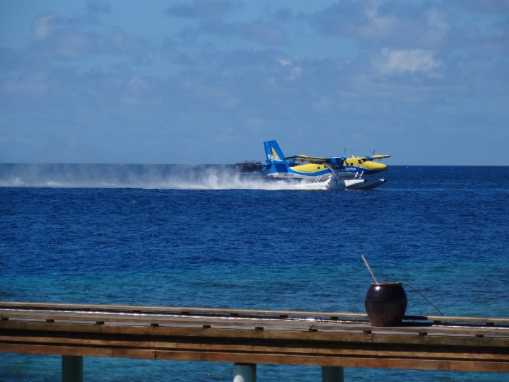 DSC04156.JPG
