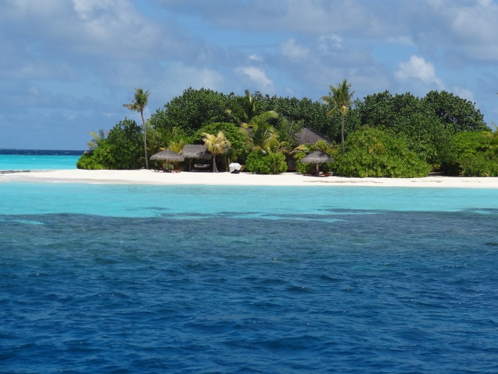 DSC04272.JPG