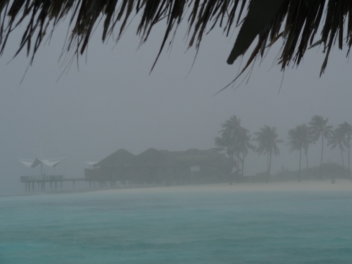 DSC04525.JPG