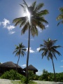 DSC04167