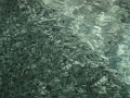 DSC04181
