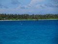 DSC04240