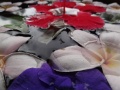 DSC04410