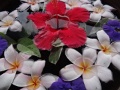 DSC04412