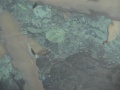 DSC04419