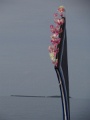 DSC04548