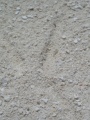 DSC04719