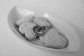 DSCF0436